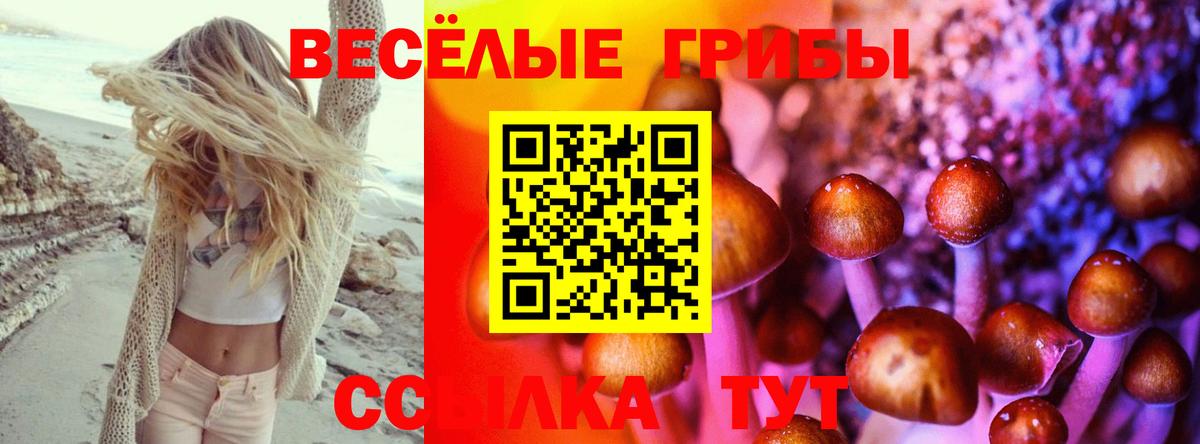 Галлюциногенные грибы Psilocybine cubensis Коряжма